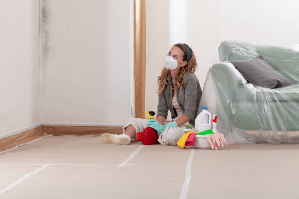 Reliable Mold Inspection And Testing contractor in Andover, MA by 24 Hour Mold Removal
